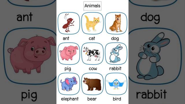 Animals with English pronunciation