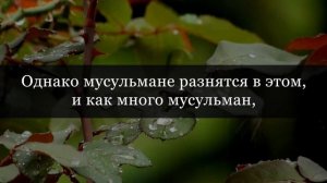 Хорошие мысли об Аллахе - это наша обязанность | Ильшат Абу Сальман | Ислам | Коран | Сунна