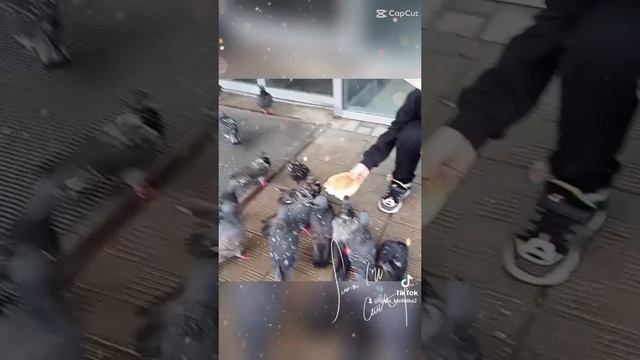be76d70908977facb4d4eddcb0817c87.mp4