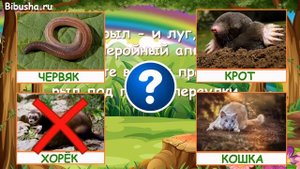 ЗАГАДКИ ПРО ЖИВОТНЫХ - Часть 4 | Загадки для детей