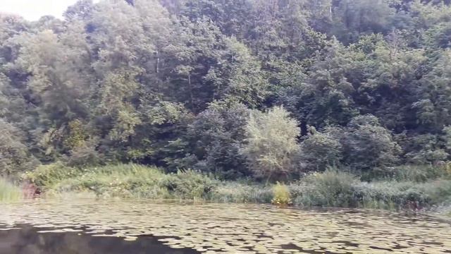 Сплав по реке Протва смотреть онлайн