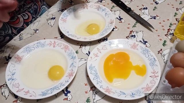 Сравниваю яйца. #Домашнее яйцо. 🥚🥚🥚🥚🥚