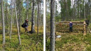 Начало строительства. Наш первый лесной домик. Избушка