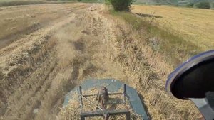 Разбрасываем валок соломы на поле