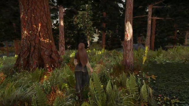 Exploring Skyrim's Tree Mods!