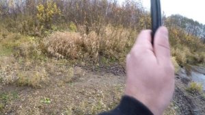 Ловля ХАРИУСА на ОПАРЫША, ЧЕРВЯ.....