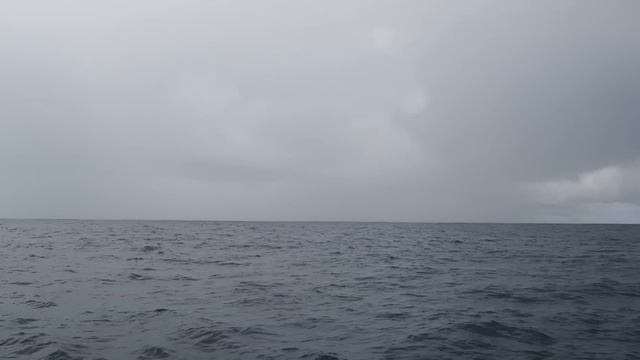 10 | Crossing the Pacific Ocean on a Wooden Boat смотреть онлайн