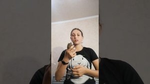 Как содержать белку дегу