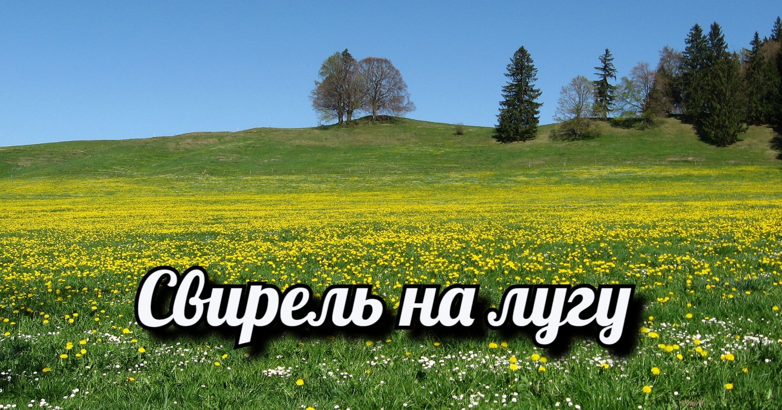 Свирель на лугу