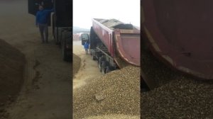 Выгрузка ТОНАРА в мороз -4 жесть!!!!