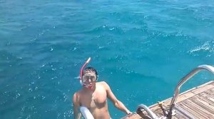 Плаваем В Красном море