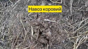 КАК ВЫГЛЯДИТ НАВОЗ КОНСКИЙ И КОРОВИЙ?