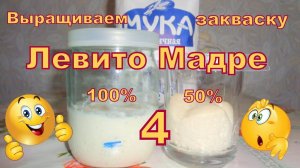 Закваска на винограде Левито Мадре. Часть 4. Мой эксперимент))