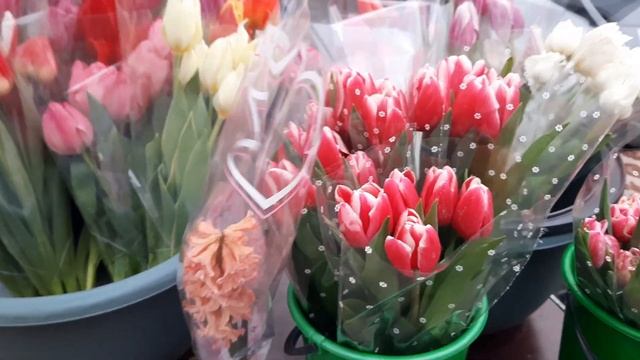 Торговля тюльпанами с машин на 8 марта. Какие цены на рынке.