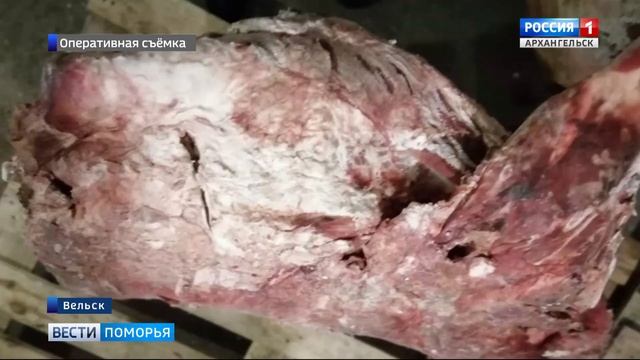 Подделывали сроки годности и продавали тухлое мясо по цене свежего смотреть онлайн