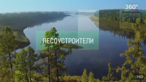 Фильм Лесоустроители 2019