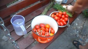 Помидоры мочёные  Вкусные помидоры как из бочки  Tomatoes, peeled
