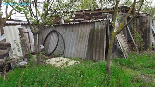 ЧТО я сажу для нутрий экскурсия на огород смотреть онлайн