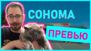 ПРЕВЬЮ СОНОМЫ | Блог Владимира Башмакова №23