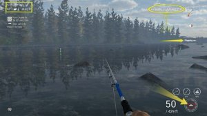 Fishing Planet - Kaniq Creek - Alaska - Unique Dolly Varden