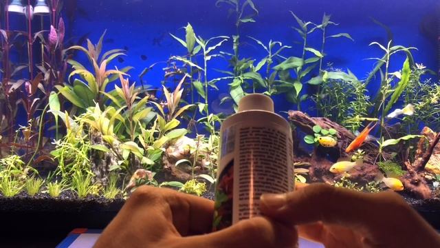 SEACHEM FLOURISH ADVANCE İLE İLGİLİ HER ŞEY!