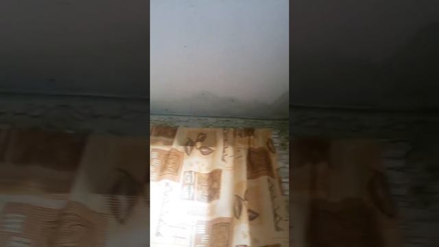 Избавляемся от грибка на потолке и стенах. смотреть онлайн