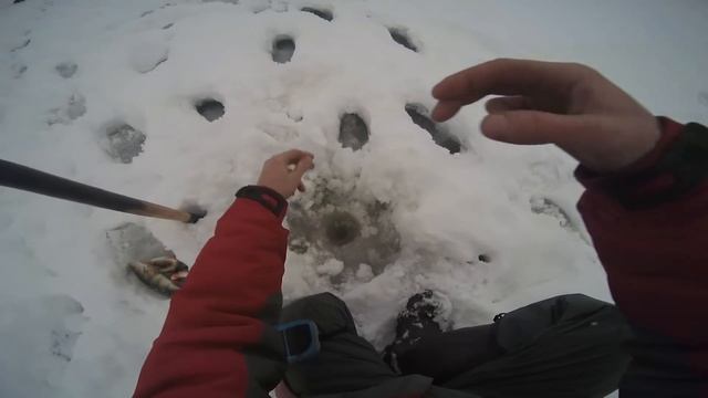 Отличный клев окуня! смотреть онлайн