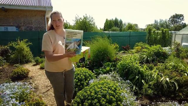 ПРАВИЛЬНАЯ ПОСАДКА МАЛОУХОДНОГО САДА, ДЛЯ НОВЧИКОВ И ПРОФИ! ПЛАНИРОВАНИЕ ПОСАДКИ смотреть онлайн