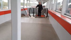 ст. Ботанический сад МЦК - пересадка на метро за 5 минут
