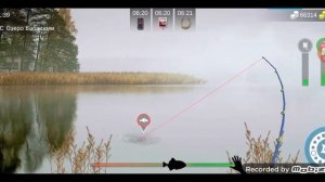 поймал рыбу каплю играю в my fishing world