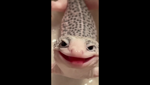 Подборка интересных (невероятных) фактов #8