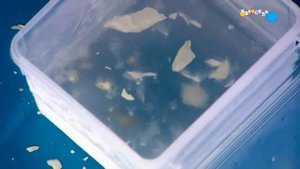 Лабораториум. Холодильник (от 26.10.2023)