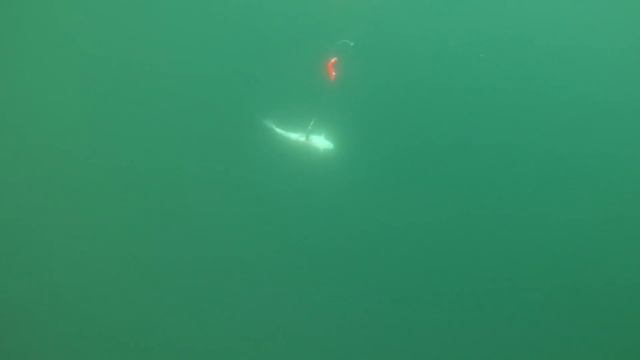 Рыбалка на Баренцевом море / Fishing in the Barents sea смотреть онлайн