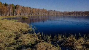 Страшные истории - "Мертвое озеро"