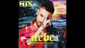 MJX& PASKU Fred De Palma feat  Sofia Reyes   Il Tuo Profumo  (BOOTLEG)