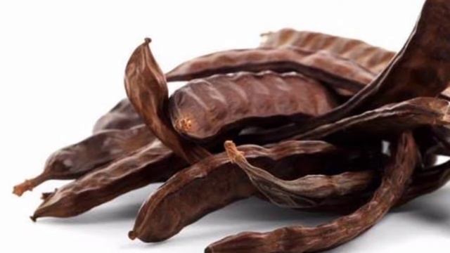 Carob - Ceratonia Siliqua- Medicinal Properties,Uses And Precautions смотреть онлайн
