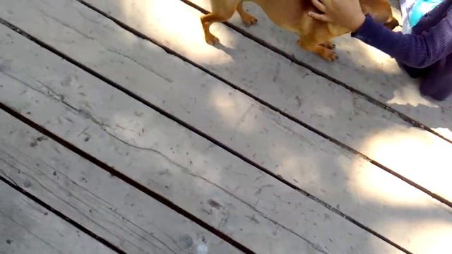 Наша Черемшанка смотреть онлайн