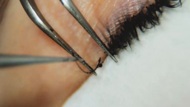 Саммит лешмейкинг. Хлопай ресницами и взлетай смотреть онлайн