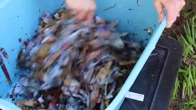 Worm Factory 360 worm composter directions and review from Canada part 8 смотреть онлайн