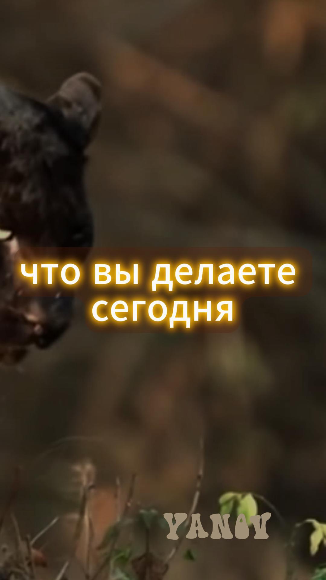 Мотивация