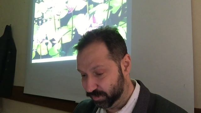 Теория медия. Предмет media studies