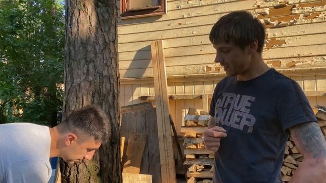 Cabling в арбористике. Устанавливаем ветрозащиту деревьям.