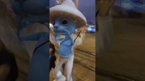 шалошай#мем#шалошай