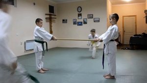 Боевое искусство Айкидо. Занятия для детей 6-14 лет (Martial Art Aikido. Training for children 6-14