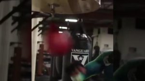 Андерсон Сильва  фрагмент работы на скоростной груше