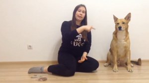 Лайфхаки. Как легко подстричь когти собаке?