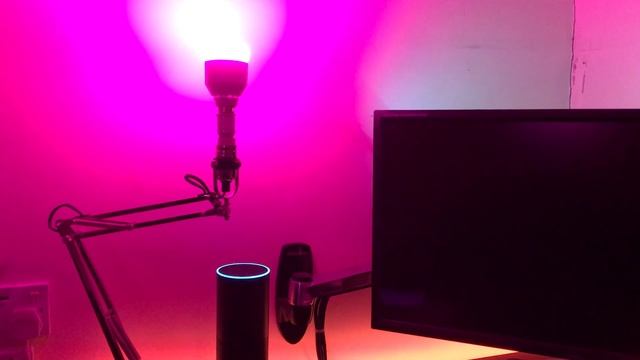 Amazon Echo, Home Remote and a Native Echo App - Update смотреть онлайн