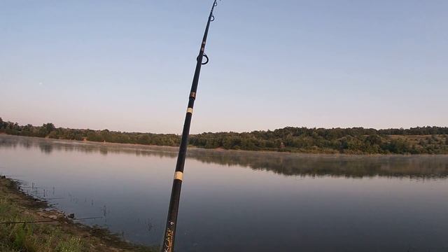 Вот На Что Клюют Крупные Амуры! Есть ли Смысл в Дорогих Наживках? смотреть онлайн