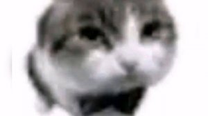 Mama Russia — Допрос — nightcore/speed up