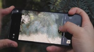 iPhone 11 Pro Max: о чем никто не сказал. Полный обзор.